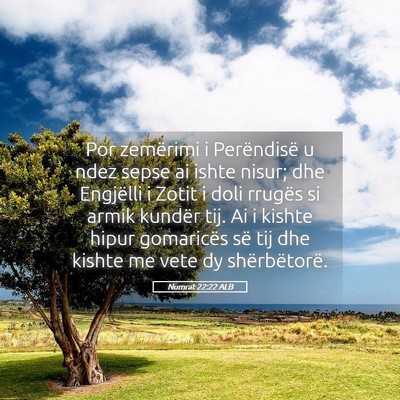 Picture 05 - Numrat 22:22 ALB - Por zemërimi i Perëndisë u ndez sepse ai ishte - Bible Verse Picture