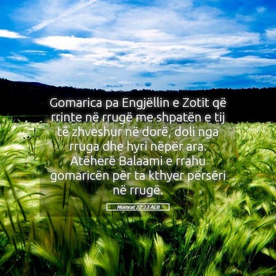 Picture 05 - Numrat 22:23 ALB - Gomarica pa Engjëllin e Zotit që rrinte në - Bible Verse Picture