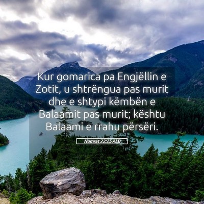 Picture 05 - Numrat 22:25 ALB - Kur gomarica pa Engjëllin e Zotit, u shtrëngua - Bible Verse Picture