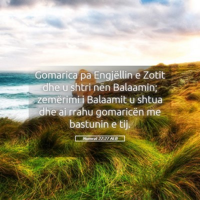 Picture 05 - Numrat 22:27 ALB - Gomarica pa Engjëllin e Zotit dhe u shtri nën - Bible Verse Picture
