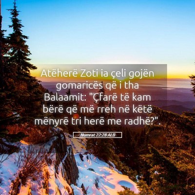 Picture 05 - Numrat 22:28 ALB - Atëherë Zoti ia çeli gojën gomaricës që i - Bible Verse Picture