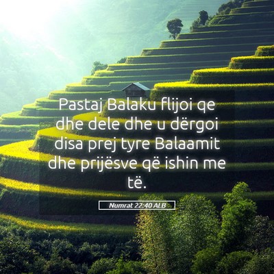 Picture 05 - Numrat 22:40 ALB - Pastaj Balaku flijoi qe dhe dele dhe u dërgoi - Bible Verse Picture