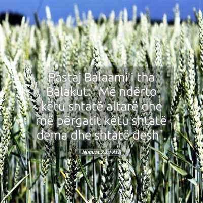 Picture 05 - Numrat 23:1 ALB - Pastaj Balaami i tha Balakut: 