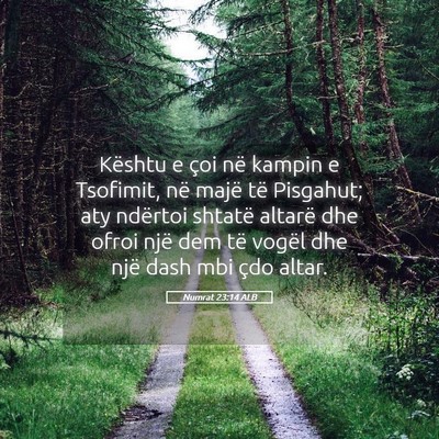 Picture 05 - Numrat 23:14 ALB - Kështu e çoi në kampin e Tsofimit, në majë - Bible Verse Picture