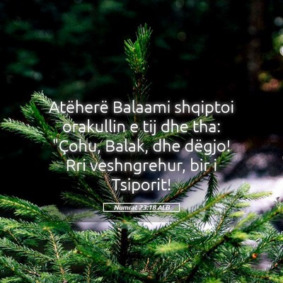 Picture 05 - Numrat 23:18 ALB - Atëherë Balaami shqiptoi orakullin e tij dhe - Bible Verse Picture