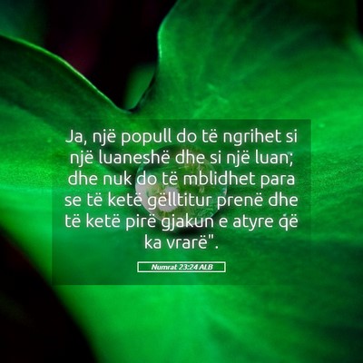 Picture 05 - Numrat 23:24 ALB - Ja, një popull do të ngrihet si një luaneshë - Bible Verse Picture