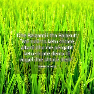 Picture 05 - Numrat 23:29 ALB - Dhe Balaami i tha Balakut: 