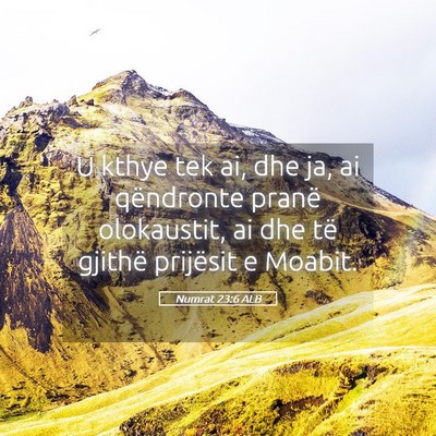 Picture 05 - Numrat 23:6 ALB - U kthye tek ai, dhe ja, ai qëndronte pranë - Bible Verse Picture