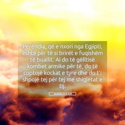 Picture 05 - Numrat 24:8 ALB - Perëndia, që e nxori nga Egjipti, është për - Bible Verse Picture