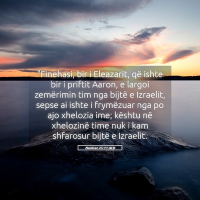 Picture 05 - Numrat 25:11 ALB - 