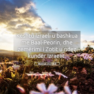 Picture 05 - Numrat 25:3 ALB - Kështu Izraeli u bashkua me Baal-Peorin, dhe - Bible Verse Picture