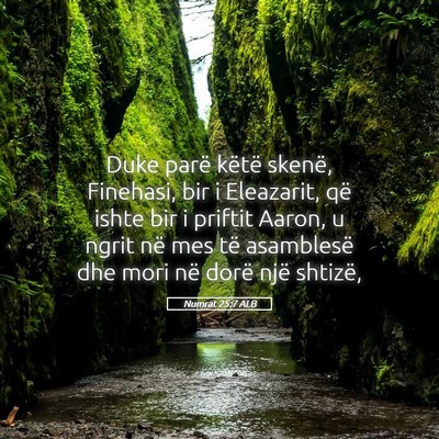 Picture 05 - Numrat 25:7 ALB - Duke parë këtë skenë, Finehasi, bir i - Bible Verse Picture
