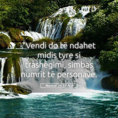 Picture 05 - Numrat 26:53 ALB - 