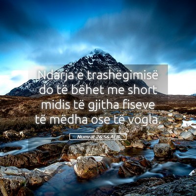 Picture 05 - Numrat 26:56 ALB - Ndarja e trashëgimisë do të bëhet me short - Bible Verse Picture