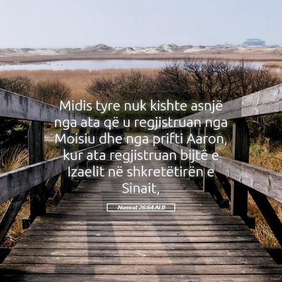 Picture 05 - Numrat 26:64 ALB - Midis tyre nuk kishte asnjë nga ata që u - Bible Verse Picture