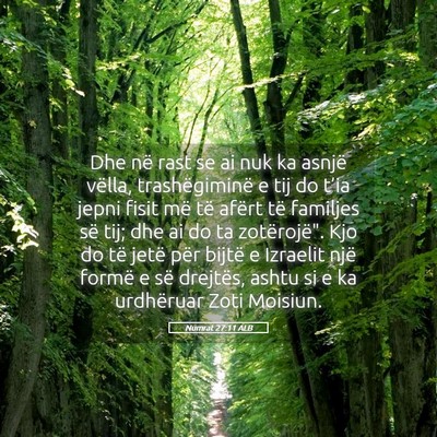 Picture 05 - Numrat 27:11 ALB - Dhe në rast se ai nuk ka asnjë vëlla, - Bible Verse Picture