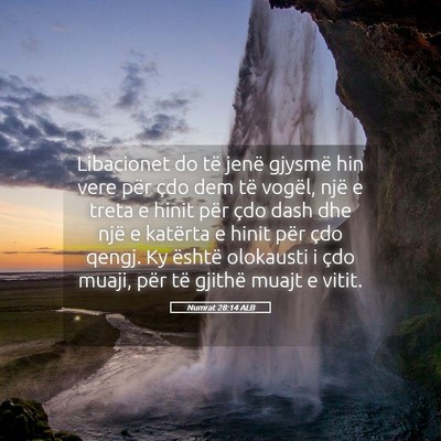 Picture 05 - Numrat 28:14 ALB - Libacionet do të jenë gjysmë hin vere për - Bible Verse Picture