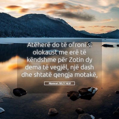 Picture 05 - Numrat 28:27 ALB - Atëherë do të ofroni si olokaust me erë të - Bible Verse Picture