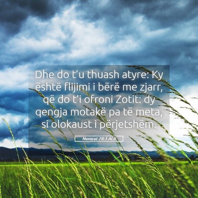 Picture 05 - Numrat 28:3 ALB - Dhe do t’u thuash atyre: Ky është flijimi i - Bible Verse Picture