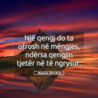 Picture 05 - Numrat 28:4 ALB - Një qengj do ta ofrosh në mëngjes, ndërsa - Bible Verse Picture