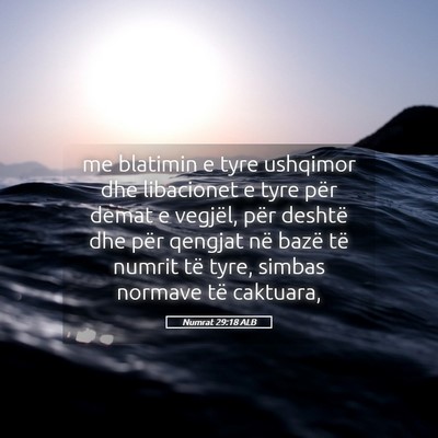 Picture 05 - Numrat 29:18 ALB - me blatimin e tyre ushqimor dhe libacionet e tyre - Bible Verse Picture