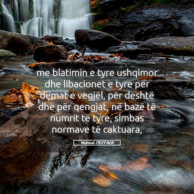 Picture 05 - Numrat 29:27 ALB - me blatimin e tyre ushqimor dhe libacionet e tyre - Bible Verse Picture