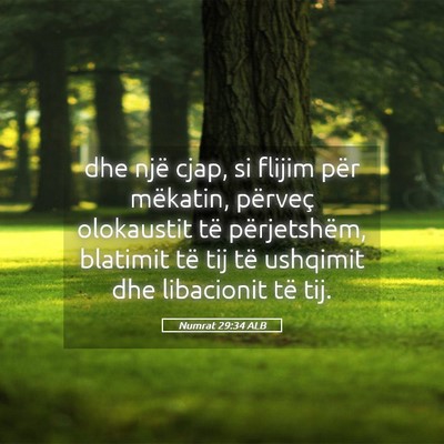 Picture 05 - Numrat 29:34 ALB - dhe një cjap, si flijim për mëkatin, përveç - Bible Verse Picture