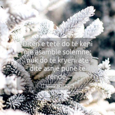 Picture 05 - Numrat 29:35 ALB - Ditën e tetë do të keni një asamble solemne; - Bible Verse Picture