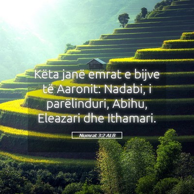 Picture 05 - Numrat 3:2 ALB - Këta janë emrat e bijve të Aaronit: Nadabi, i - Bible Verse Picture