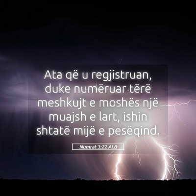 Picture 05 - Numrat 3:22 ALB - Ata që u regjistruan, duke numëruar tërë - Bible Verse Picture