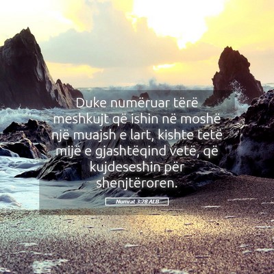 Picture 05 - Numrat 3:28 ALB - Duke numëruar tërë meshkujt që ishin në - Bible Verse Picture