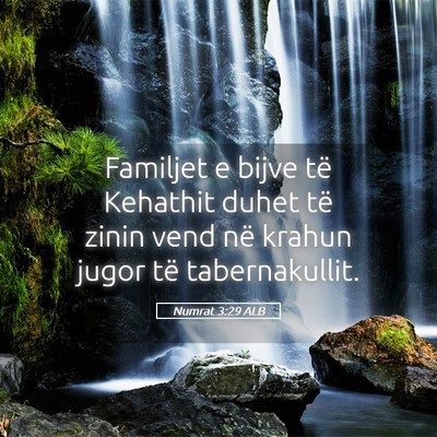 Picture 05 - Numrat 3:29 ALB - Familjet e bijve të Kehathit duhet të zinin - Bible Verse Picture