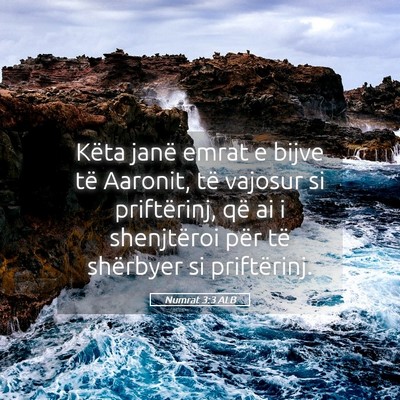 Picture 05 - Numrat 3:3 ALB - Këta janë emrat e bijve të Aaronit, të - Bible Verse Picture