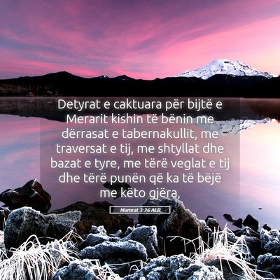 Picture 05 - Numrat 3:36 ALB - Detyrat e caktuara për bijtë e Merarit kishin - Bible Verse Picture