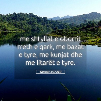 Picture 05 - Numrat 3:37 ALB - me shtyllat e oborrit rreth e qark, me bazat e - Bible Verse Picture
