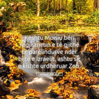 Picture 05 - Numrat 3:42 ALB - Kështu Moisiu bëri regjistrimin e të gjithë - Bible Verse Picture