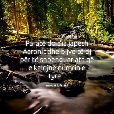 Picture 05 - Numrat 3:48 ALB - Paratë do t’ia japësh Aaronit dhe bijve të - Bible Verse Picture