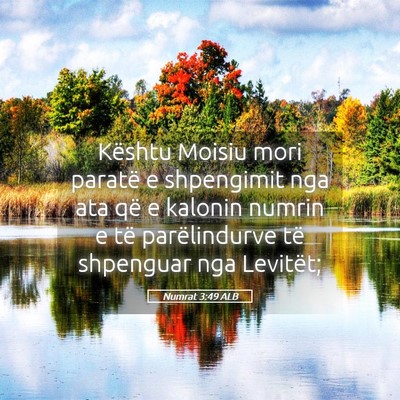 Picture 05 - Numrat 3:49 ALB - Kështu Moisiu mori paratë e shpengimit nga ata - Bible Verse Picture