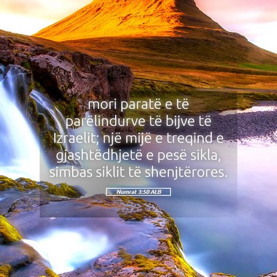 Picture 05 - Numrat 3:50 ALB - mori paratë e të parëlindurve të bijve të - Bible Verse Picture