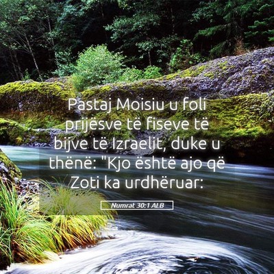 Picture 05 - Numrat 30:1 ALB - Pastaj Moisiu u foli prijësve të fiseve të - Bible Verse Picture