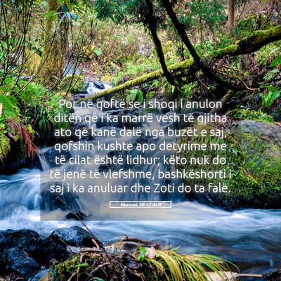 Picture 05 - Numrat 30:12 ALB - Por në qoftë se i shoqi i anulon ditën që i - Bible Verse Picture