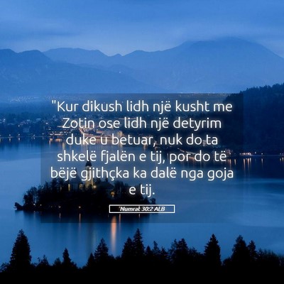 Picture 05 - Numrat 30:2 ALB - 