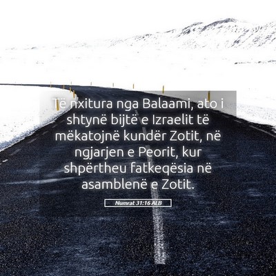 Picture 05 - Numrat 31:16 ALB - Të nxitura nga Balaami, ato i shtynë bijtë e - Bible Verse Picture