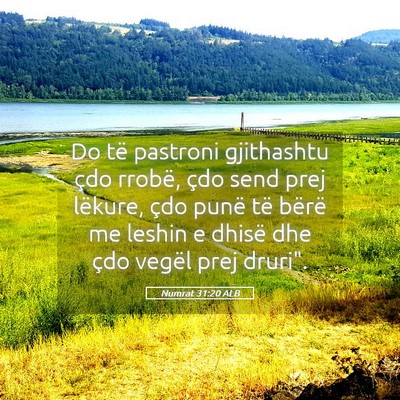 Picture 05 - Numrat 31:20 ALB - Do të pastroni gjithashtu çdo rrobë, çdo send - Bible Verse Picture