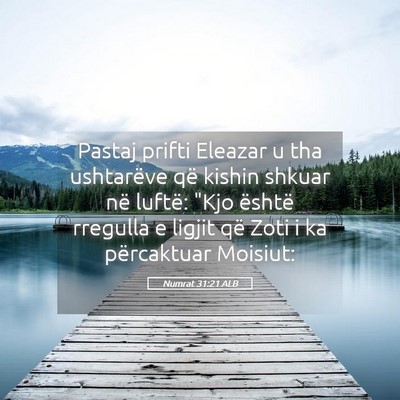 Picture 05 - Numrat 31:21 ALB - Pastaj prifti Eleazar u tha ushtarëve që kishin - Bible Verse Picture