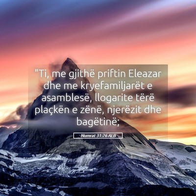Picture 05 - Numrat 31:26 ALB - 