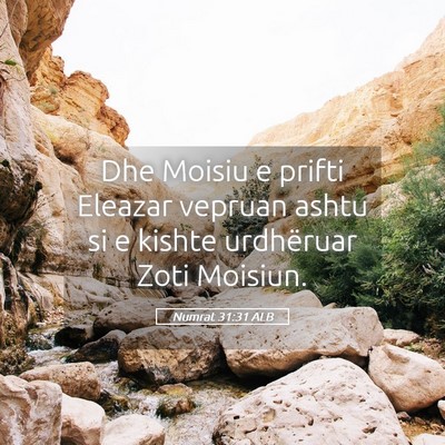 Picture 05 - Numrat 31:31 ALB - Dhe Moisiu e prifti Eleazar vepruan ashtu si e - Bible Verse Picture