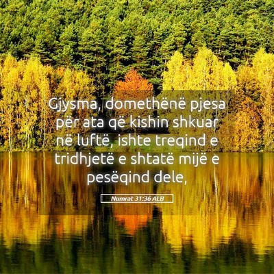 Picture 05 - Numrat 31:36 ALB - Gjysma, domethënë pjesa për ata që kishin - Bible Verse Picture