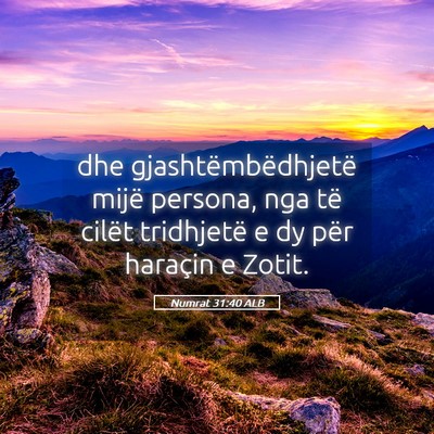 Picture 05 - Numrat 31:40 ALB - dhe gjashtëmbëdhjetë mijë persona, nga të - Bible Verse Picture