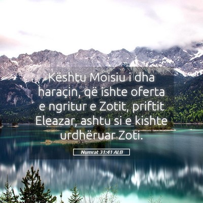 Picture 05 - Numrat 31:41 ALB - Kështu Moisiu i dha haraçin, që ishte oferta e - Bible Verse Picture